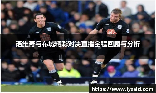 诺维奇与布城精彩对决直播全程回顾与分析