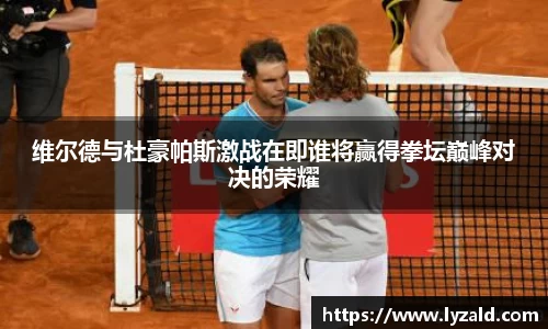 维尔德与杜豪帕斯激战在即谁将赢得拳坛巅峰对决的荣耀
