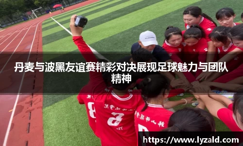 丹麦与波黑友谊赛精彩对决展现足球魅力与团队精神