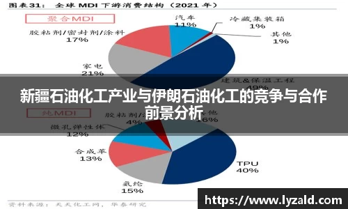 新疆石油化工产业与伊朗石油化工的竞争与合作前景分析